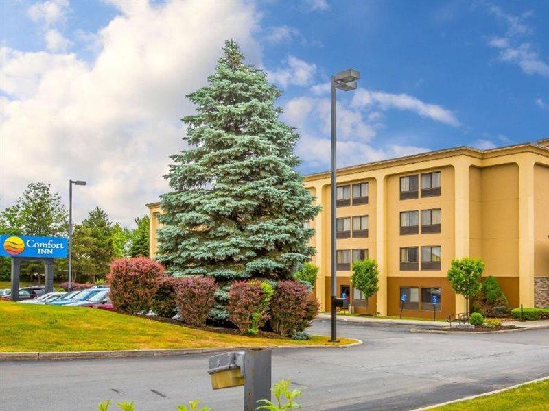 Comfort Inn Latham/Albany North Kültér fotó