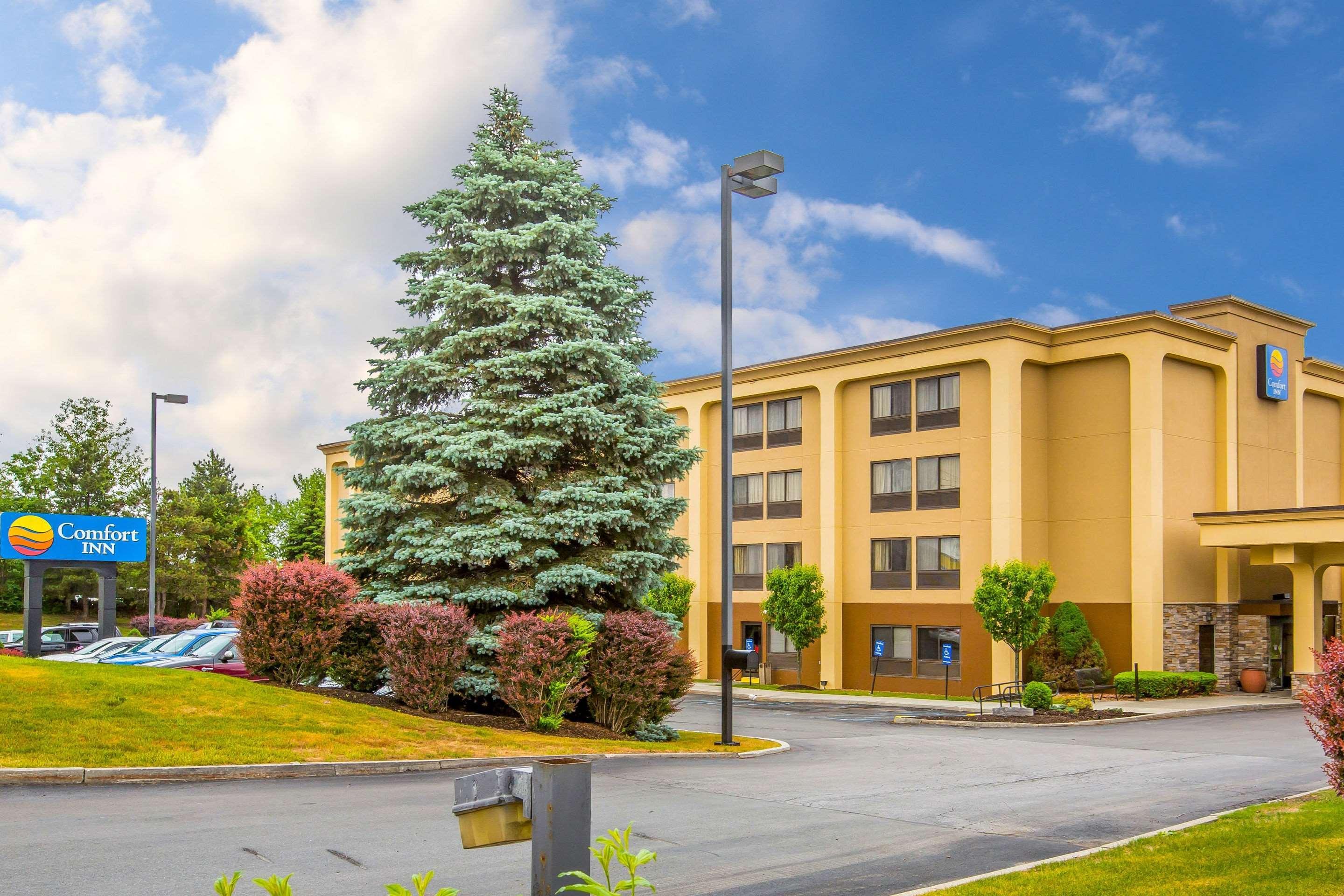 Comfort Inn Latham/Albany North Kültér fotó