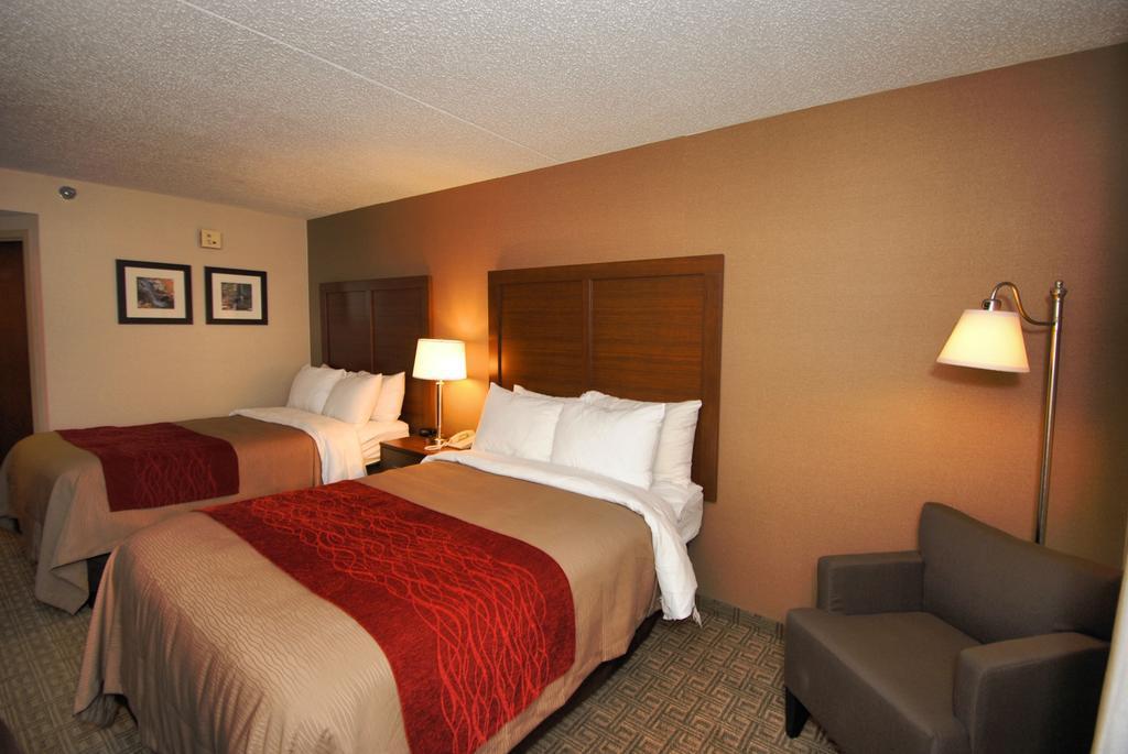 Comfort Inn Latham/Albany North Kültér fotó